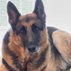 Meet your Posher, Flor